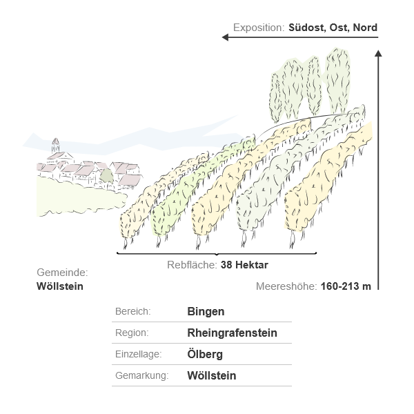 Wöllsteiner Ölberg Huxelrebe Auslese