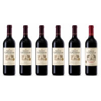 Produktabbildung Groot Constantia sechs dunkle...